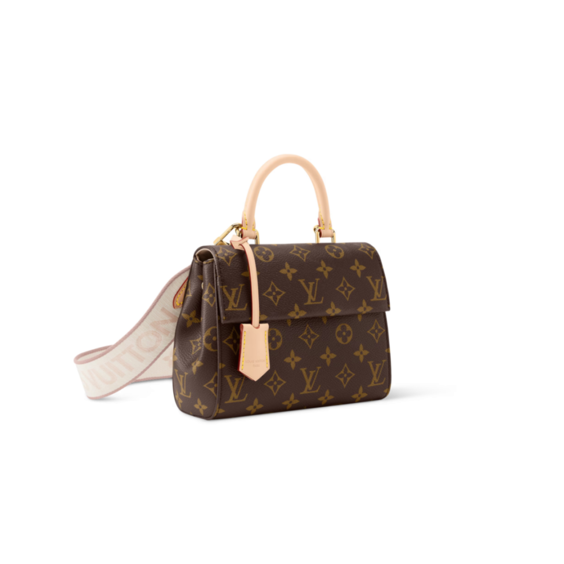 LOUIS VUITTON CLUNY MINI M13040 (20*16*7.5cm)